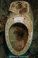 Ideal Standard - the most photographed loo in the world?
... by Steve Laycock 